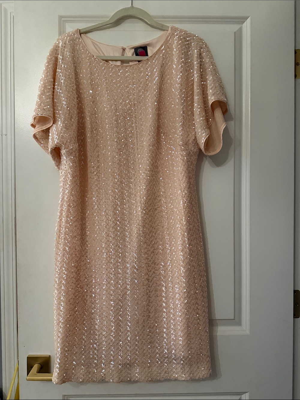 Beautiful Sequin Short Sleeve Shift Dress in Blush Pink worn once